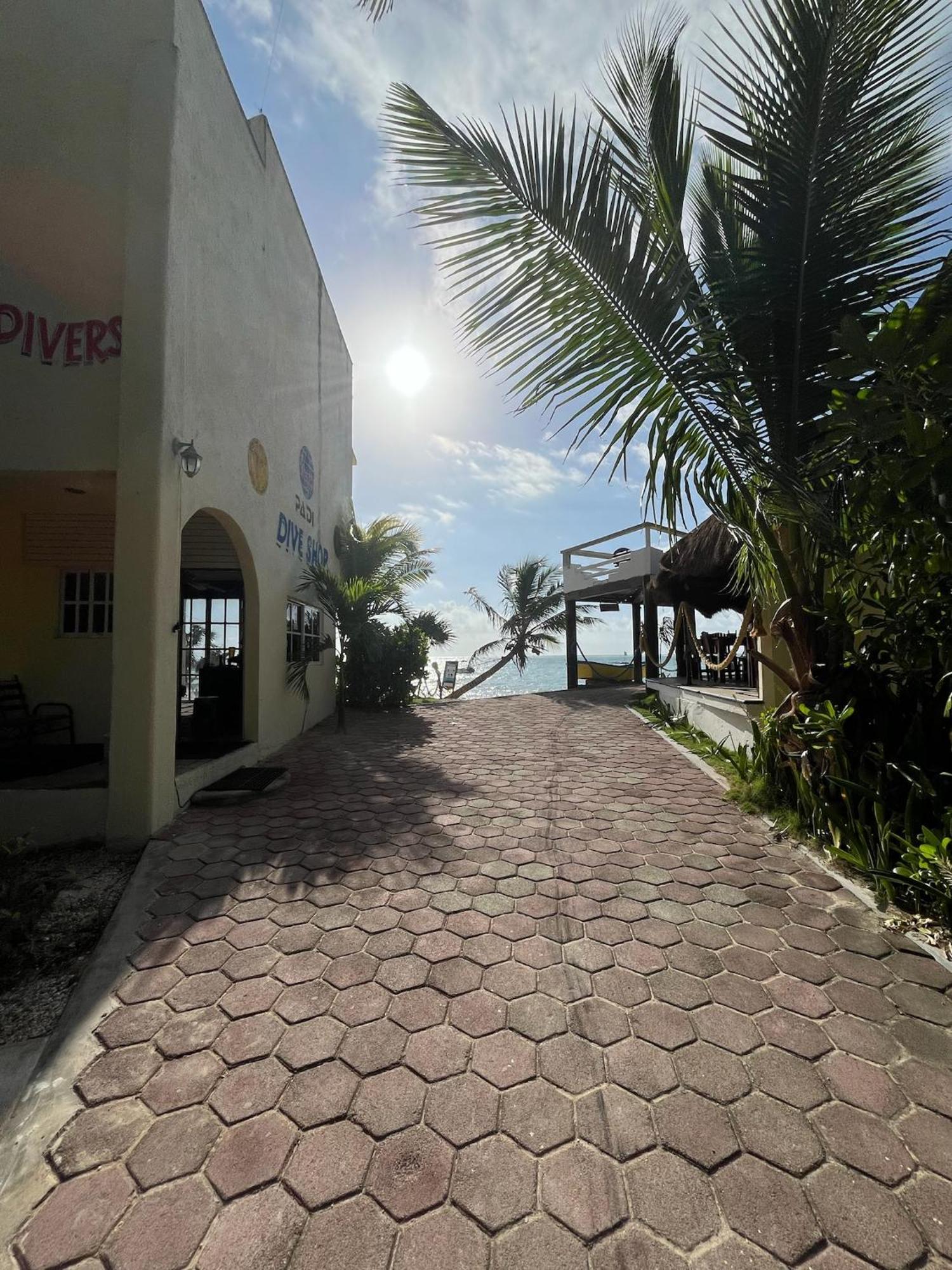 Casa Cenote Hotel Tancah Extérieur photo